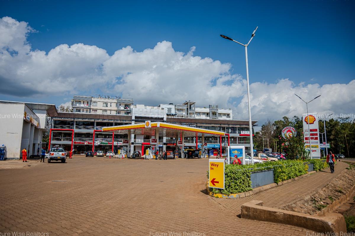 Commercial Property in Karen - 4