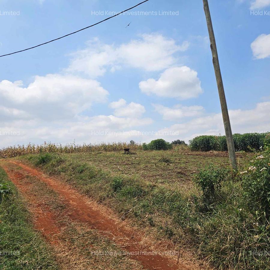 10 ac Land at Kirawa Road - 3