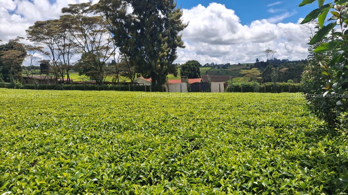 1 ac Residential Land at Limuru Girls High School - 3