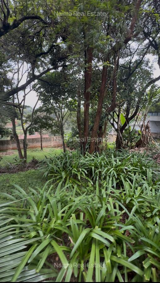 Residential Land in Kyuna - 5