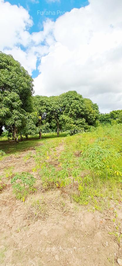 Land at Mtwapa - 13
