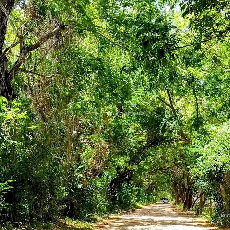 Land at Kuruwitu - 9