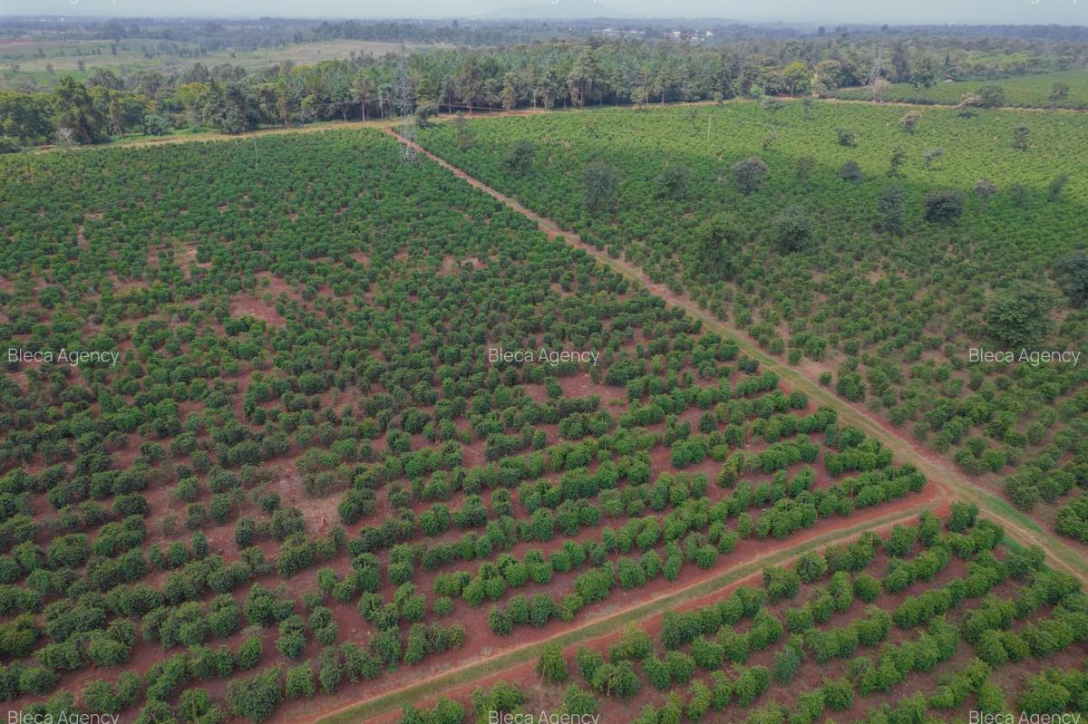 Residential Land at Juja-Gatundu Rd - 5