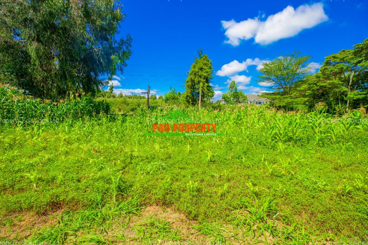 0.2 ha Commercial Land in Ndeiya - 7