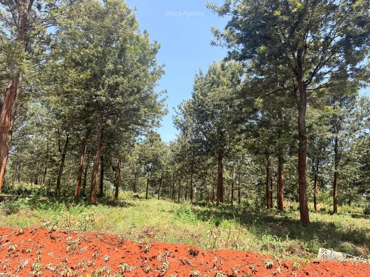 500 m² Residential Land at Ruiru-Githunguri Road - 11