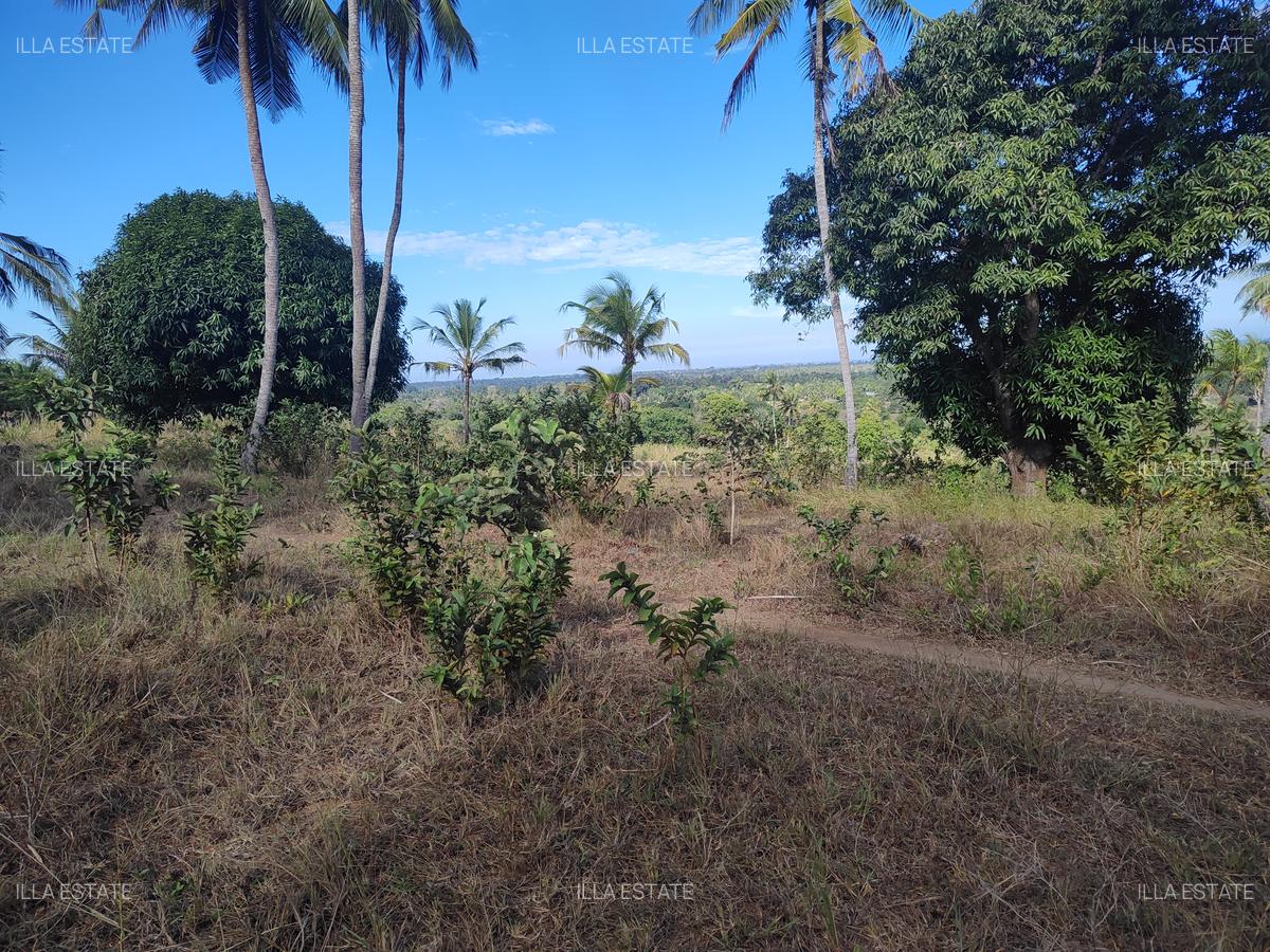 1,450 ac Land at Mabokoni - 5