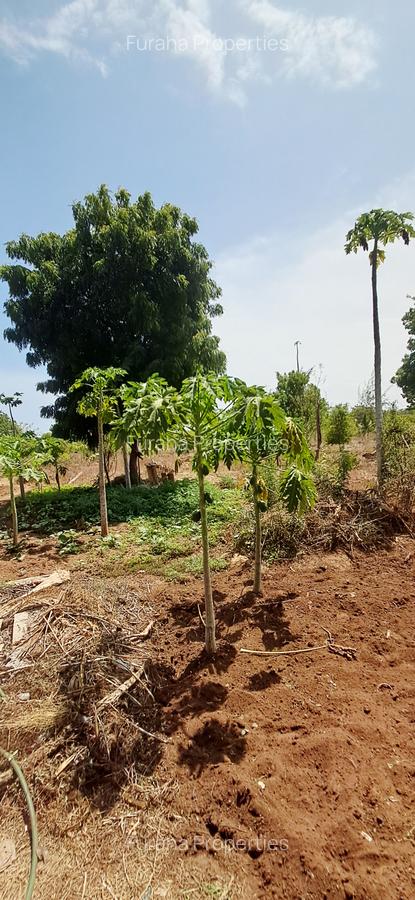 Land at Vipingo - 6