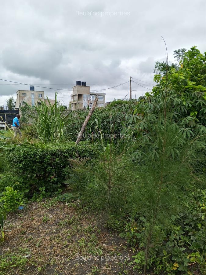 0.125 ac Residential Land at Kitengela Milimani - 4