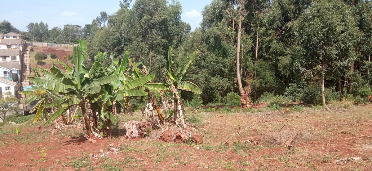 0.25 ac Land at Ruaka - 6