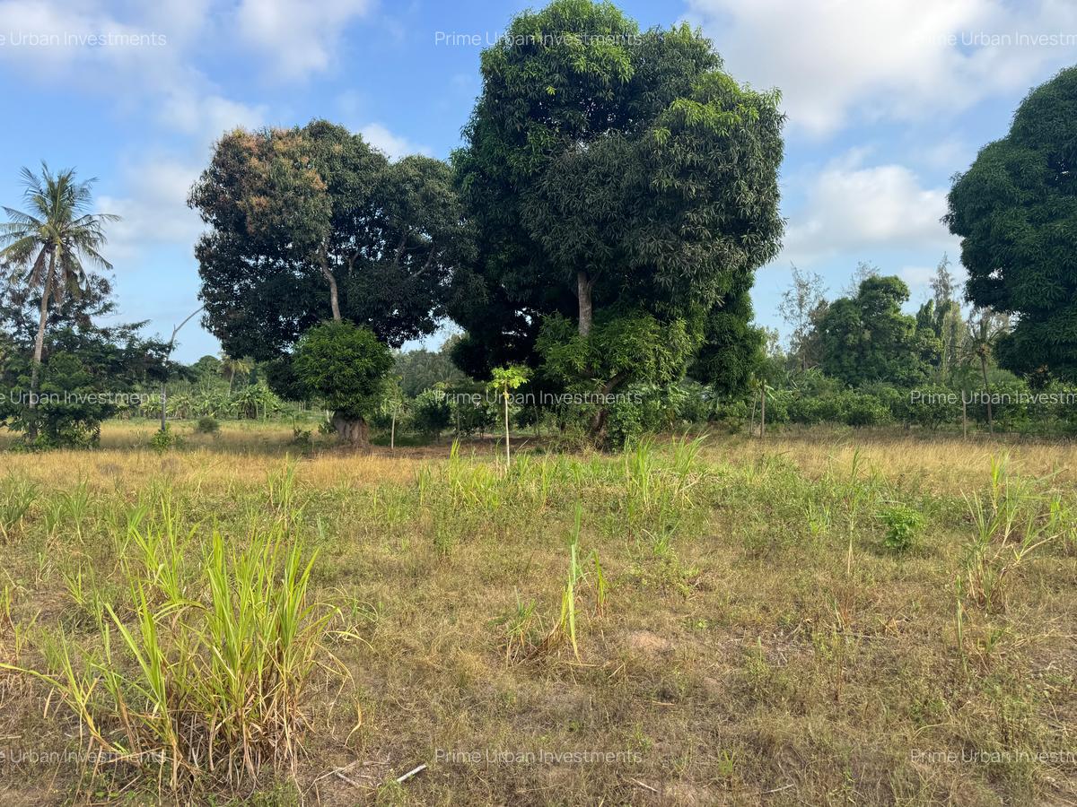 30 ac Land at Kikambala Bomani - 2