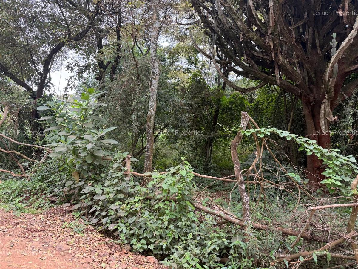 0.25 ac Commercial Land in Ngong - 7