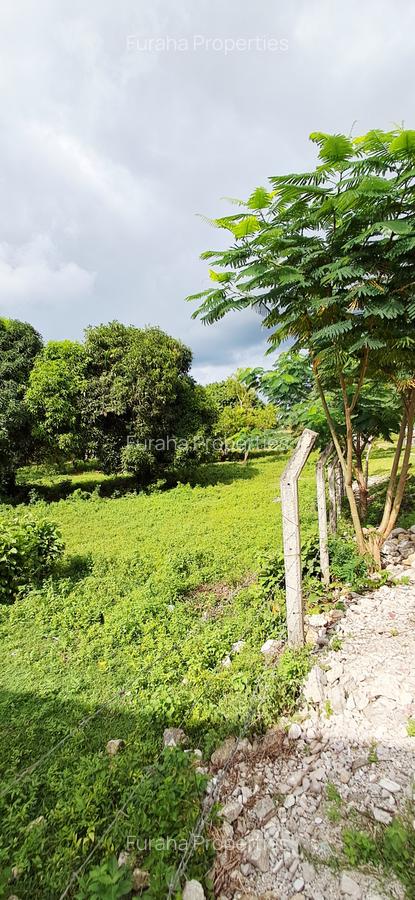 Land at Mtwapa - 8