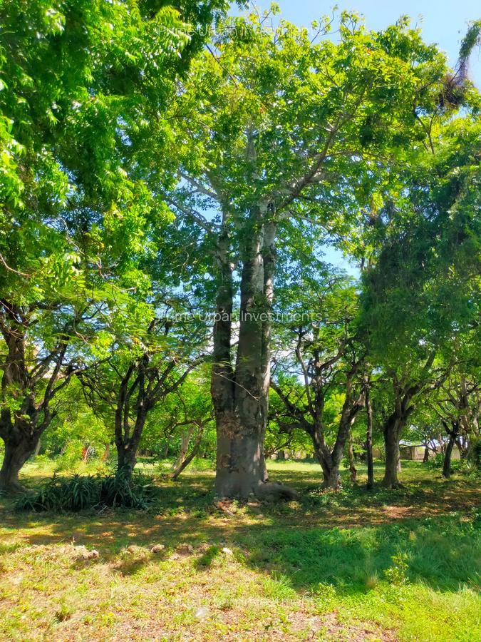 Land in Shanzu - 8
