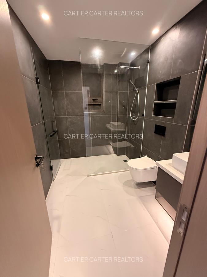 1 Bed Apartment with Swimming Pool at Mt. Kenya Road - 3