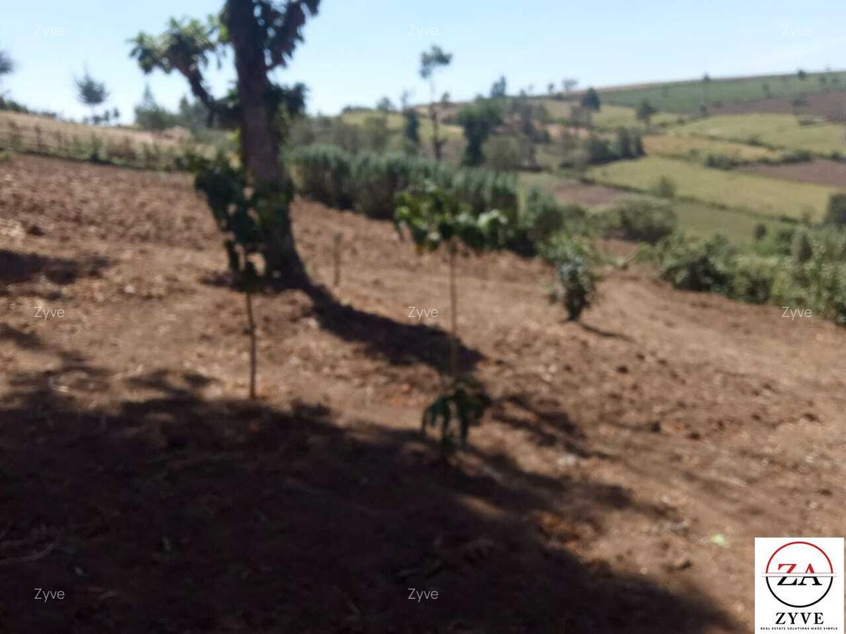 15 ac Land at Touching Nanyuki River - 4