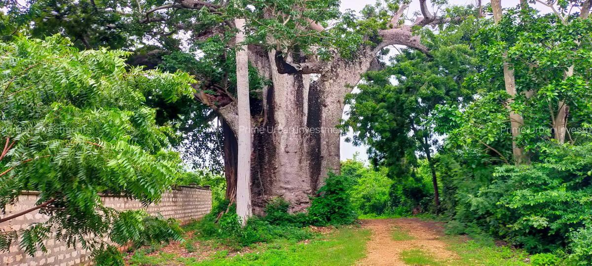 Land at Kuruwitu - 1