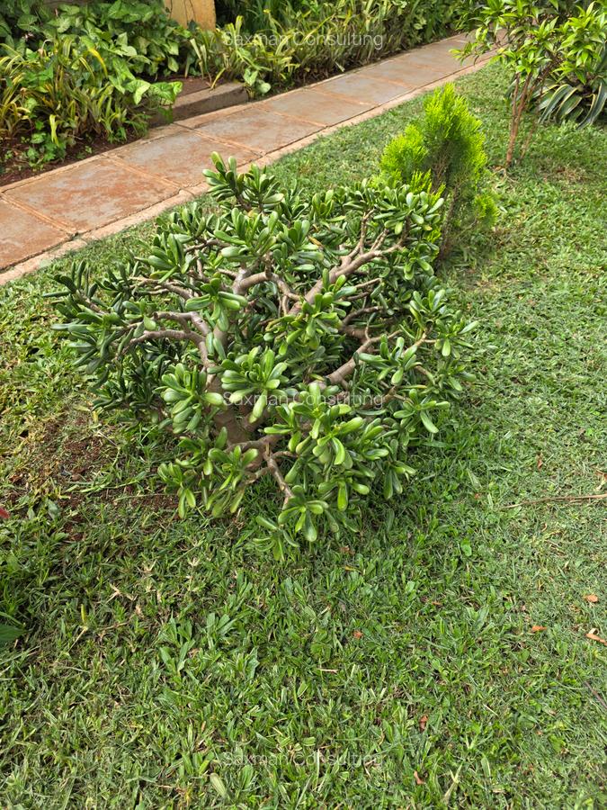Land in Kileleshwa - 10