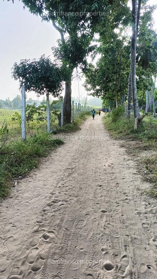 15 ac Land at Bomani - 10