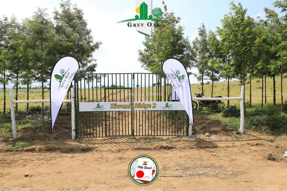 0.0430 ha Residential Land in Naivasha - 1