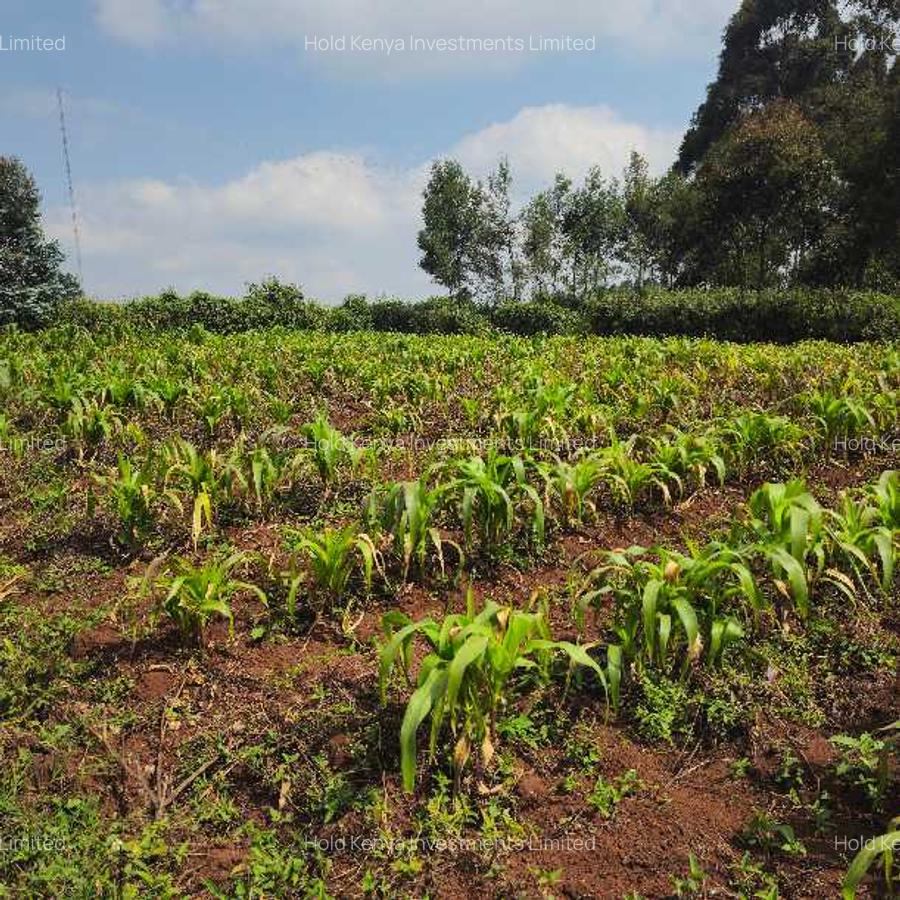Land at Limuru Road - 9