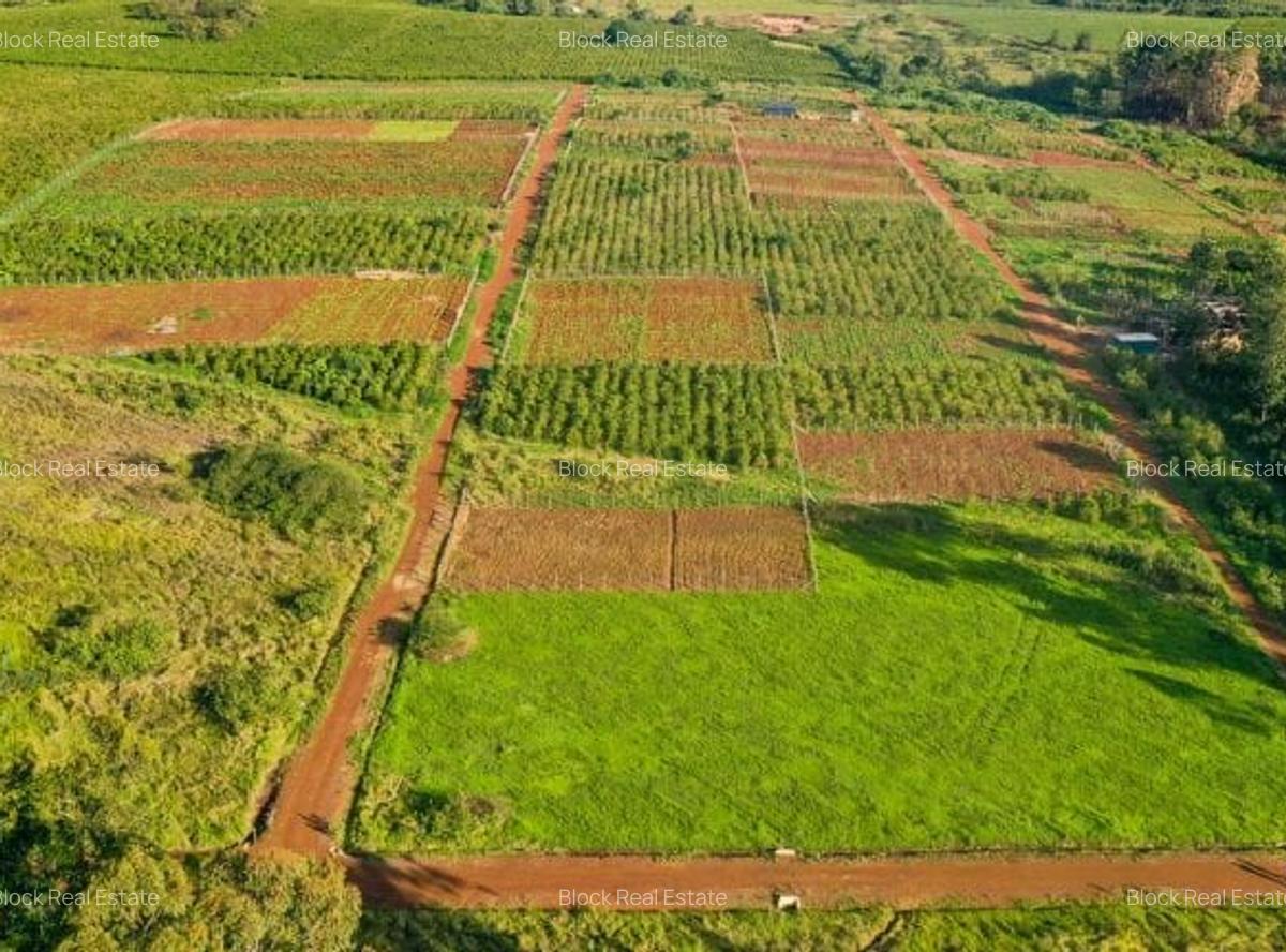 0.125 ac Land in Ruiru - 4