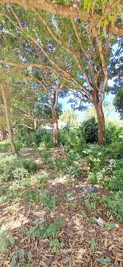 Land at Mtwapa - 15