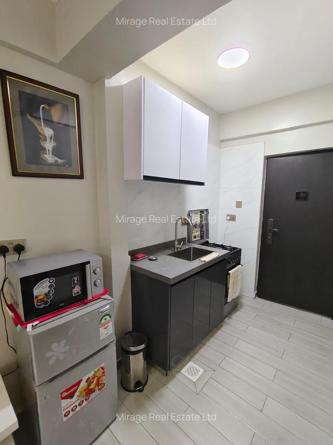 Furnished Studio Apartment with Gym in Kileleshwa - 2