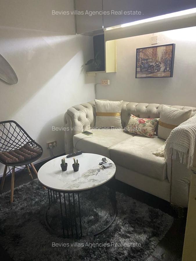 Furnished 1 Bed Apartment with Borehole at Raphta Road - 6