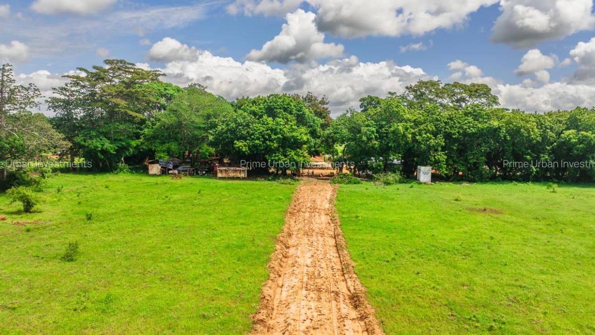 1,012 m² Residential Land at Kuruwitu Blue Green Estate Vipingo - 13
