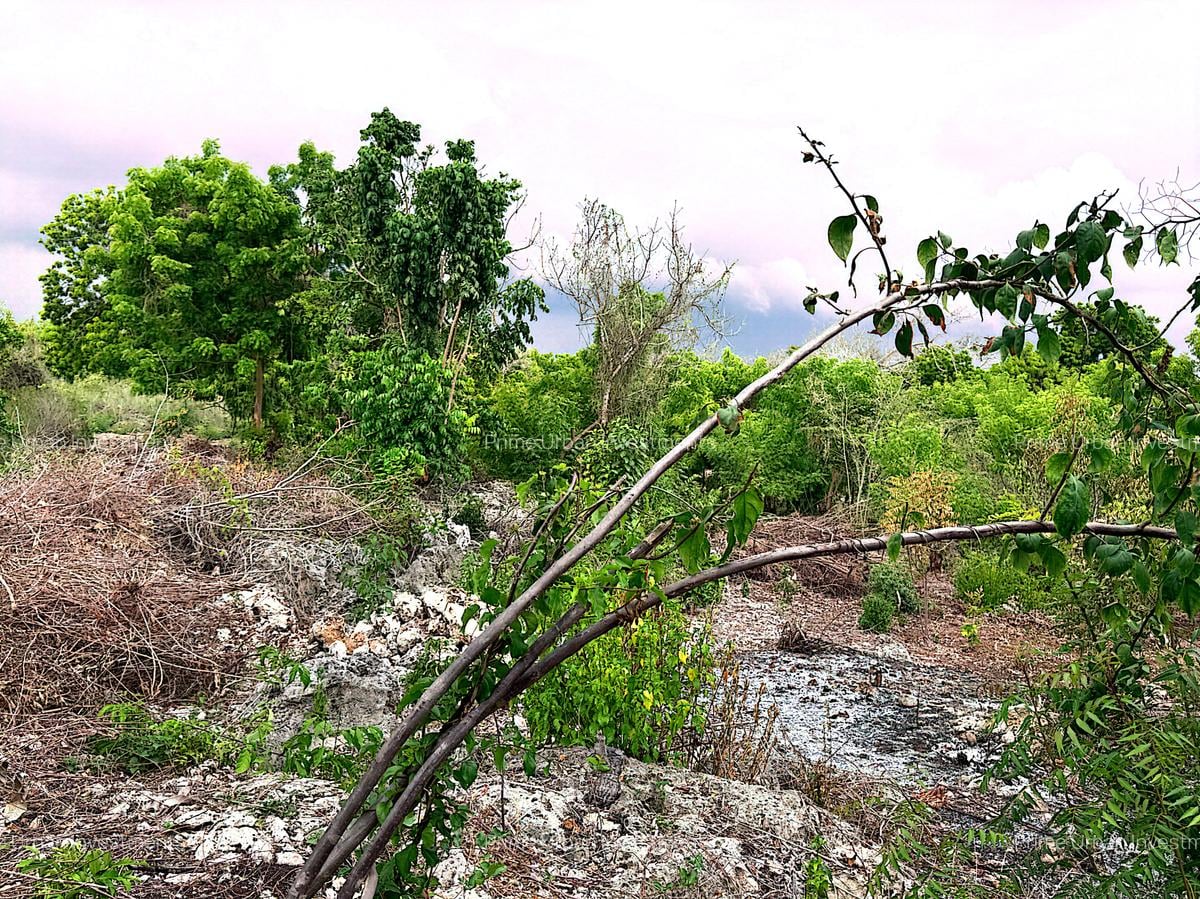 1,740 m² Land at Diani 4Row Beach - 8