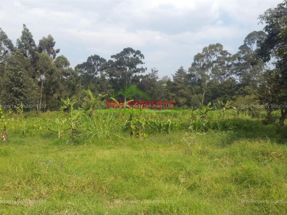 4,000 m² Land in Kikuyu Town - 7