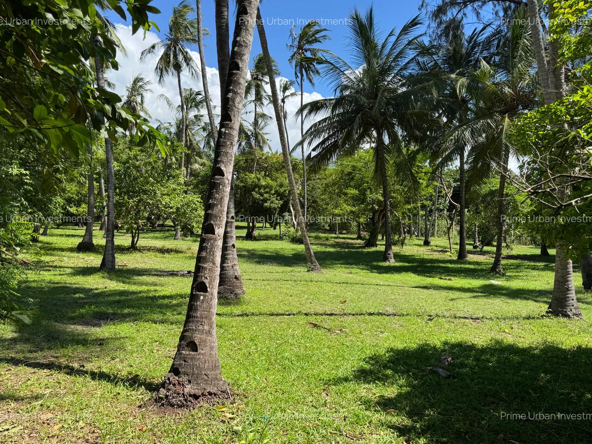 3.9 ac Land at Kikambala Beach - 16