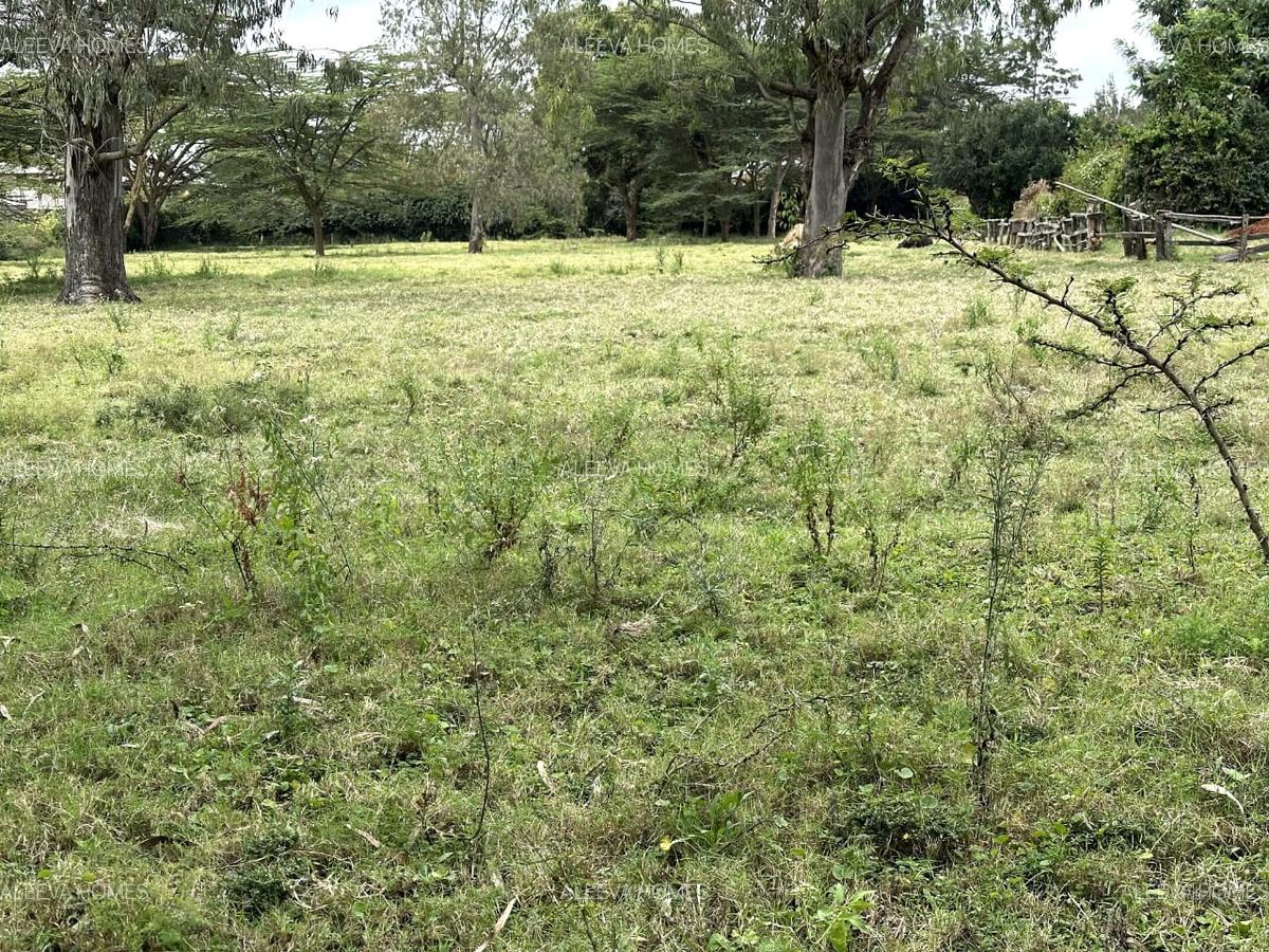 Land in Karen - 3