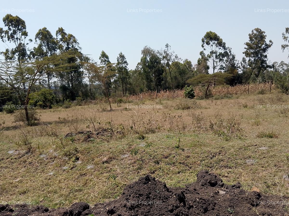 Residential Land at Merisho Road - 8
