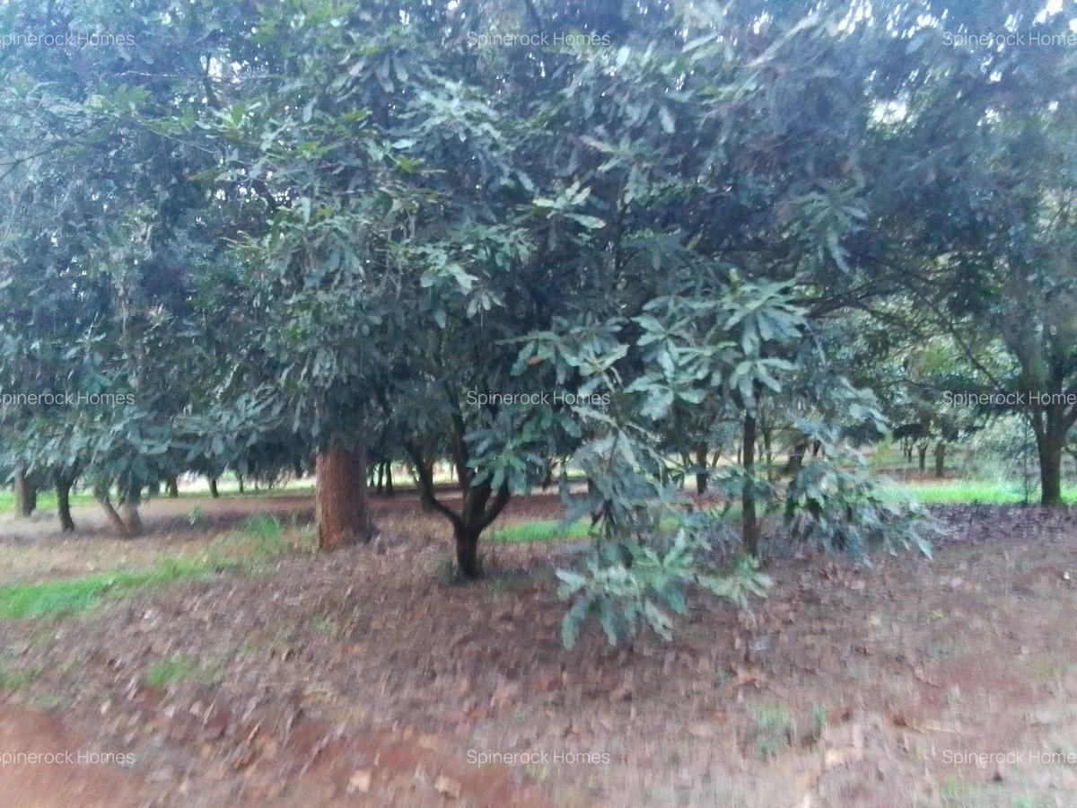 0.125 ac Residential Land at Juja Gatundu Road - 12