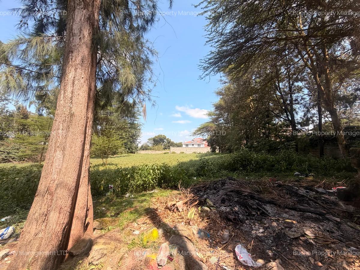 Land at Karen - 7