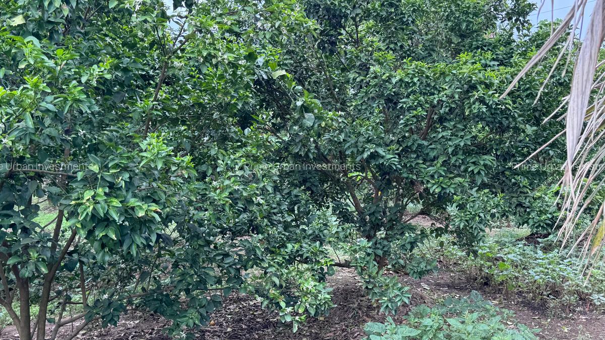 8,093.72 m² Land at Mtwapa - Mtepeni - 7