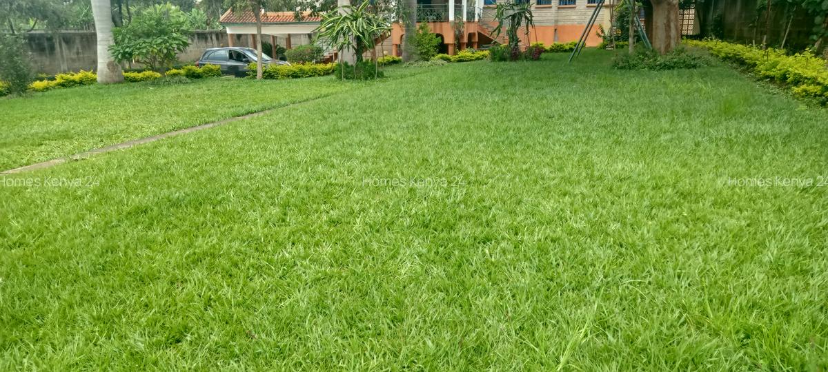 3 Bed House in Runda - 16