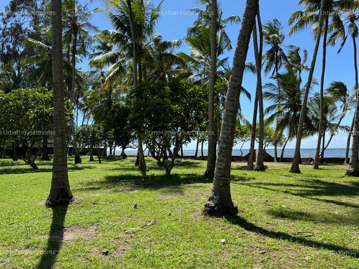 3.9 ac Land at Kikambala Beach - 10