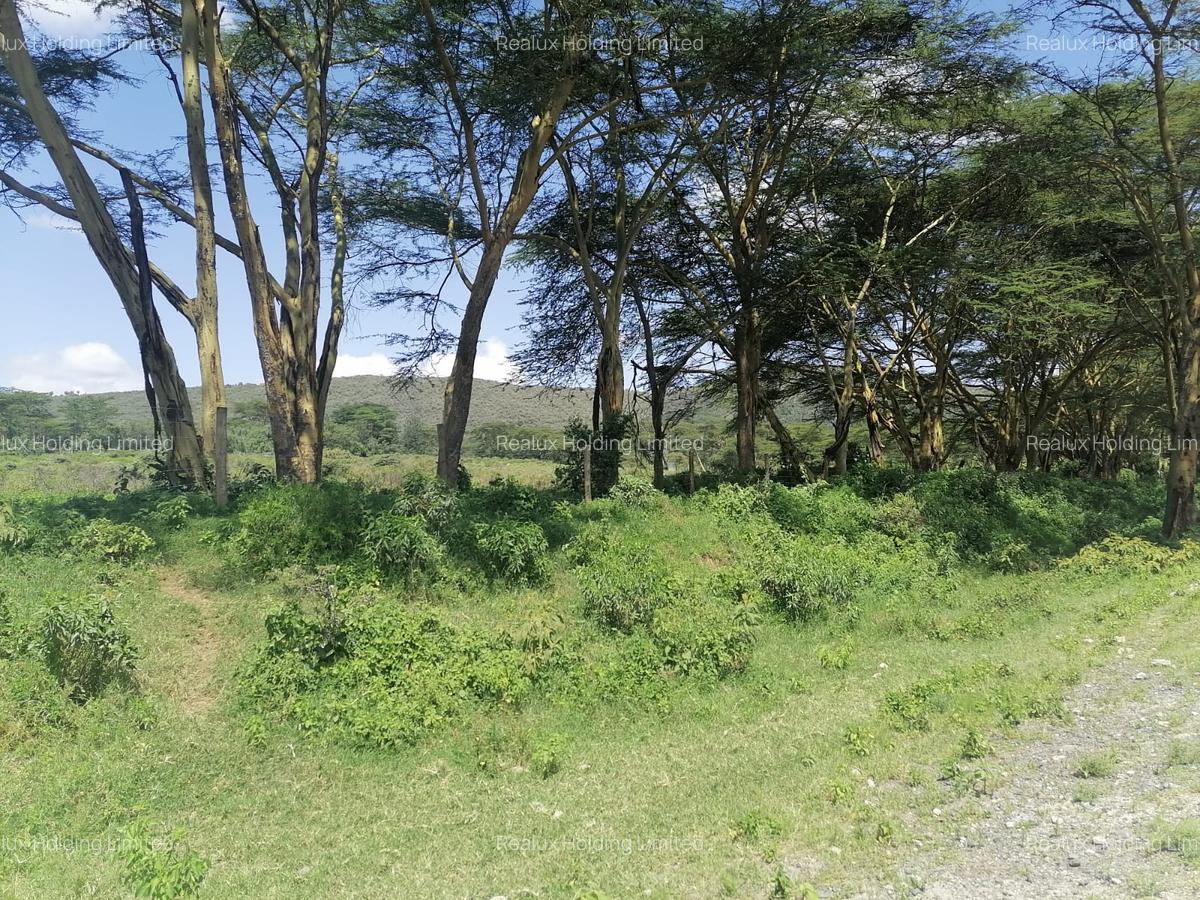 Land in Naivasha - 10