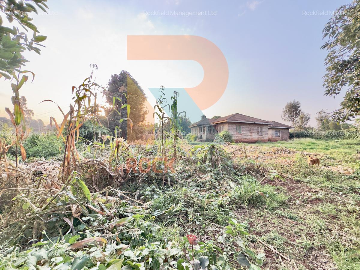 1.25 ac Land at White House Wangige - 4