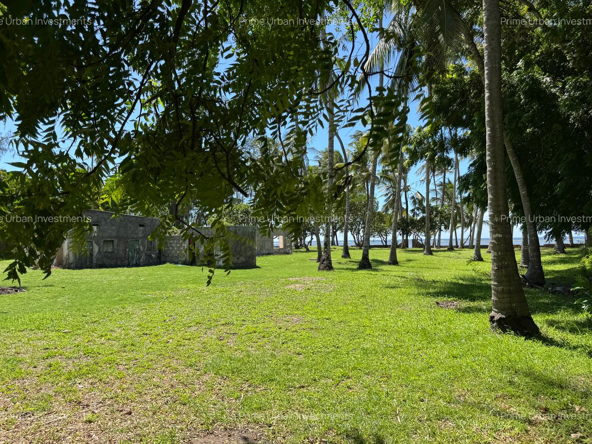 3.9 ac Land at Kikambala Beach - 13