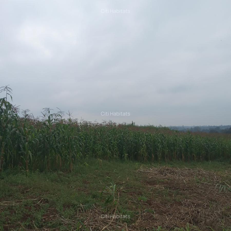 1 ac Land in Redhill - 3