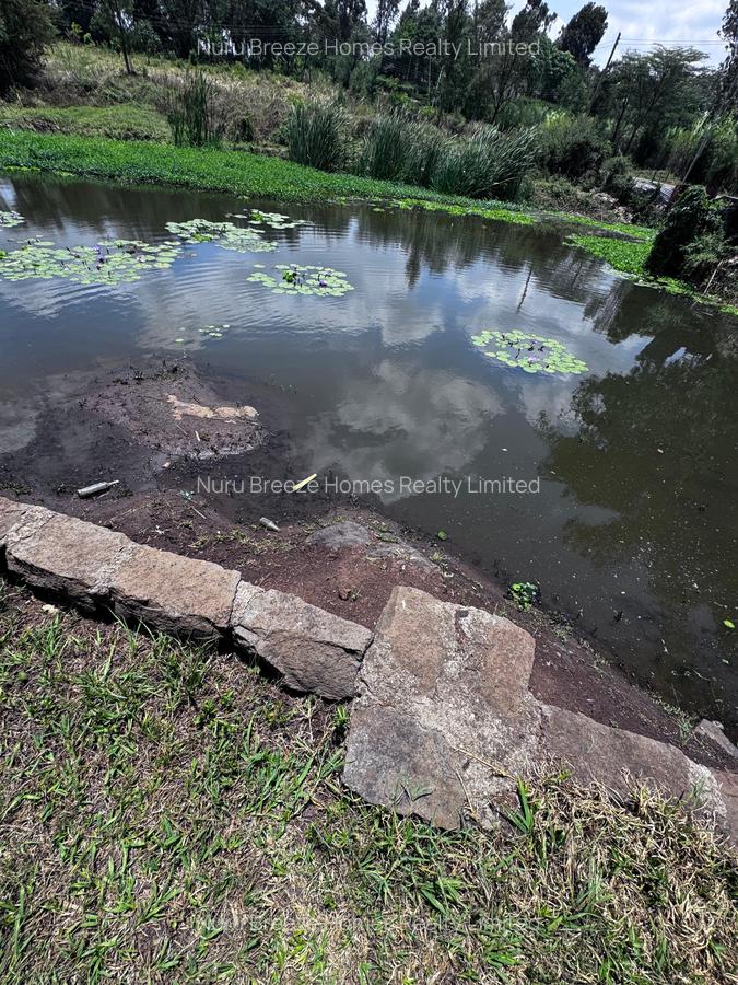 3.75 ac Land in Karen - 13