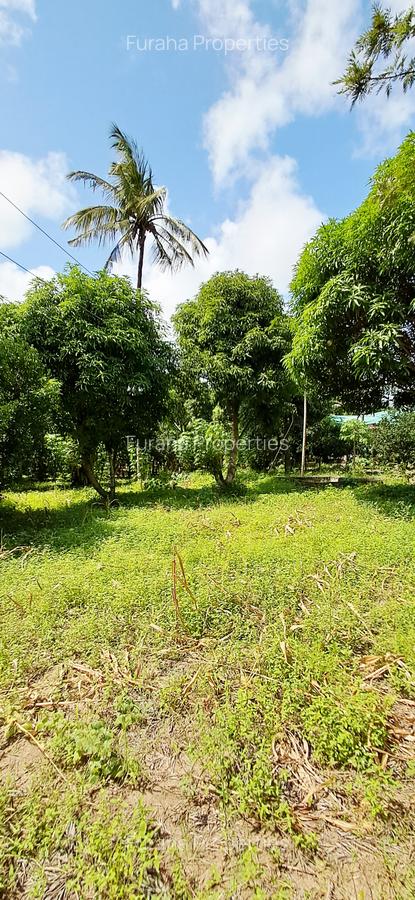 Land at Mtwapa - 3