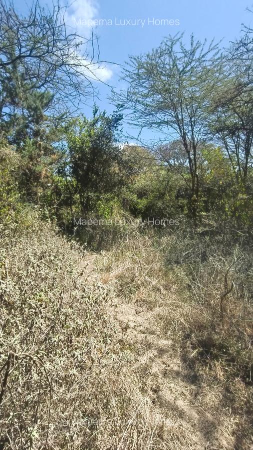 1.19 ac Residential Land at Mukoma - 5