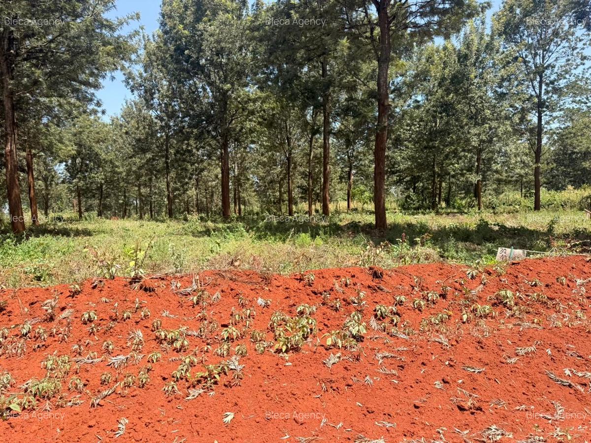 500 m² Residential Land at Ruiru-Githunguri Road - 13