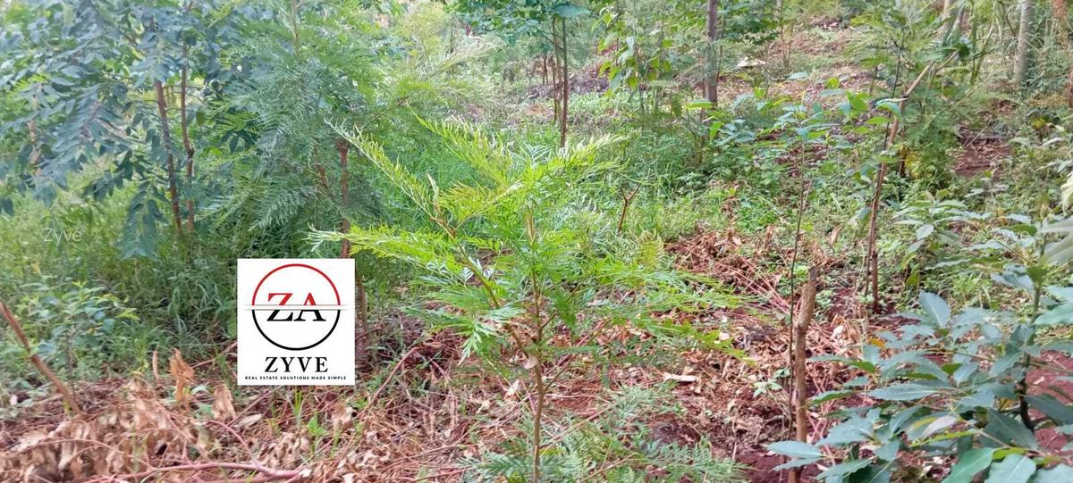 0.125 ac Land at Kasphat Estate - 5