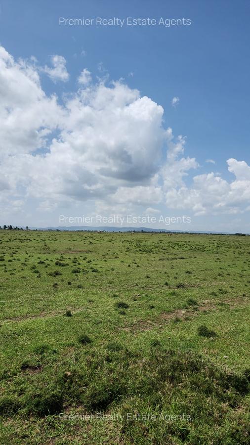 8 ac Residential Land at Nanyuki - 7