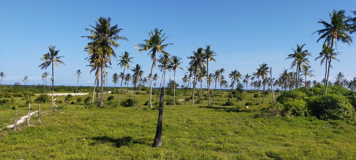 Land in Kilifi - 7